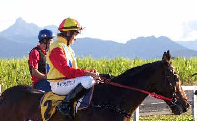 Big hope: Yass River will line up in Sunday’s Murwillumbah Cup Prelude. Big hope: Yass River will line up in Sunday’s Murwillumbah Cup Prelude.